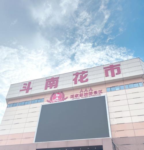 昆明斗南花卉品种有哪些？如何挑选和购买？