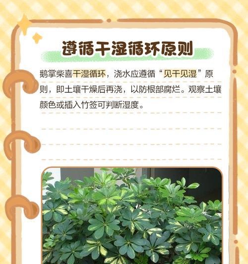 鹅掌的养殖方法是什么？鹅掌养殖的常见问题有哪些？
