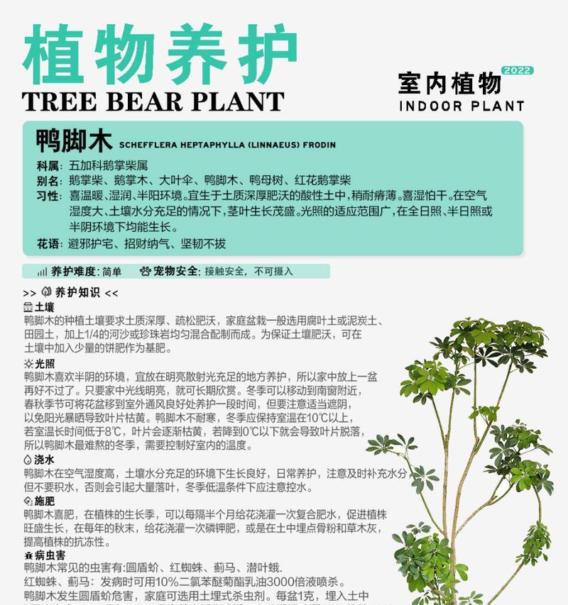 鹅掌的养殖方法是什么？鹅掌养殖的常见问题有哪些？
