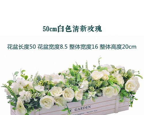中秋节适合摆放哪些花卉？
