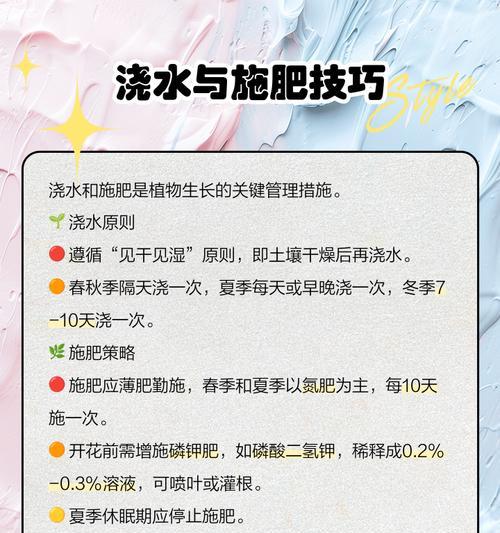 君子兰的养殖方法和常见问题有哪些？