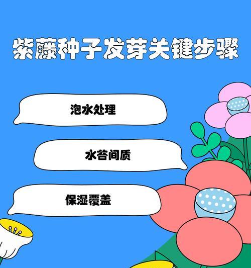 多花紫藤的种植步骤是什么？