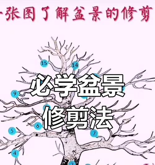 盆景修剪枝条的技巧有哪些？如何保持形态美观？