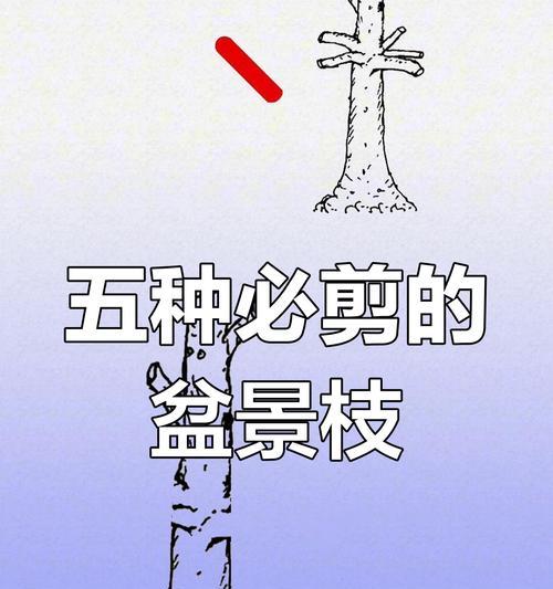 盆景修剪枝条的技巧有哪些？如何保持形态美观？