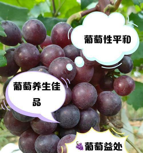 葡萄通常采用哪种繁殖方式？