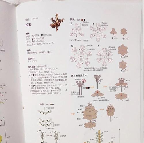 松果种植的正确步骤是什么？