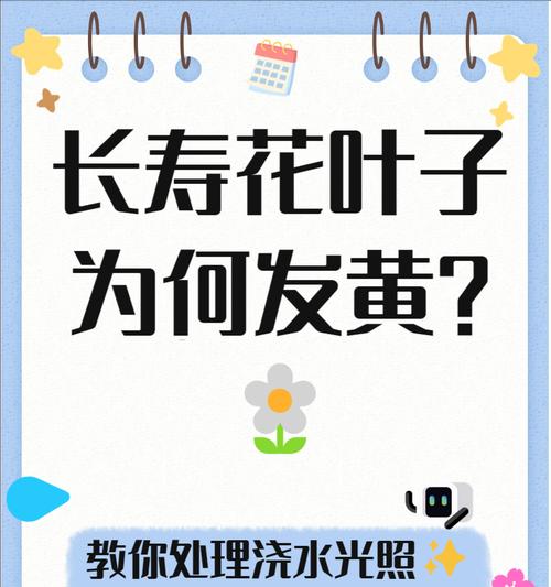 叶子发黄是什么原因？如何诊断和解决？