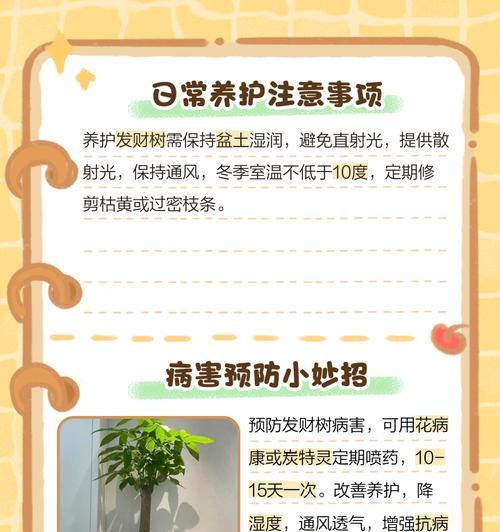 叶子发黄是什么原因？如何诊断和解决？