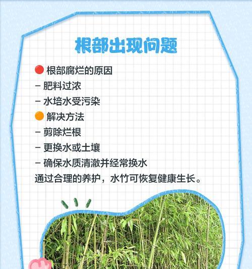 叶子发黄是什么原因？如何诊断和解决？
