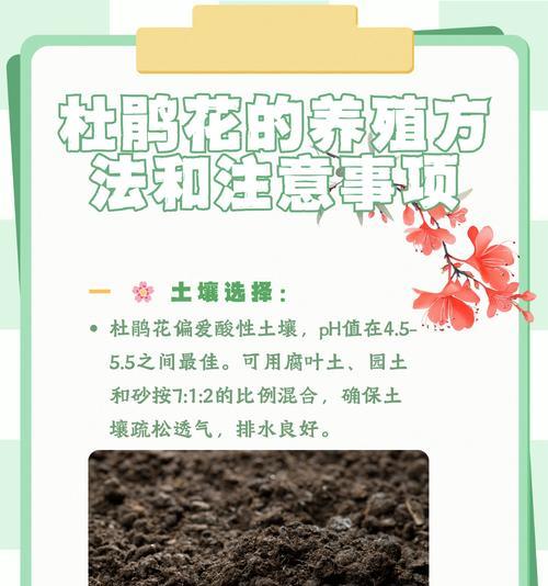 酸性土壤的制作方法有哪些？