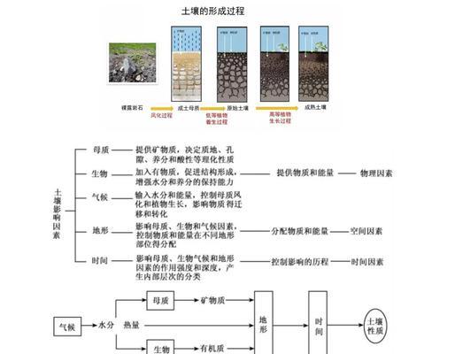 酸性土壤的制作方法有哪些？