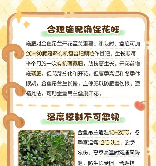 金鱼吊兰的开花季节是什么时候？