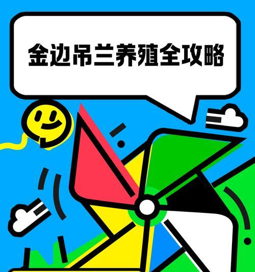 金边吊兰的养殖方法和注意事项是什么？