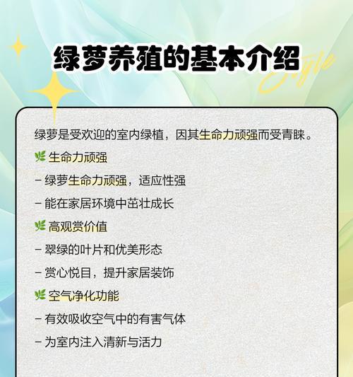 绿萝养殖技巧是什么？