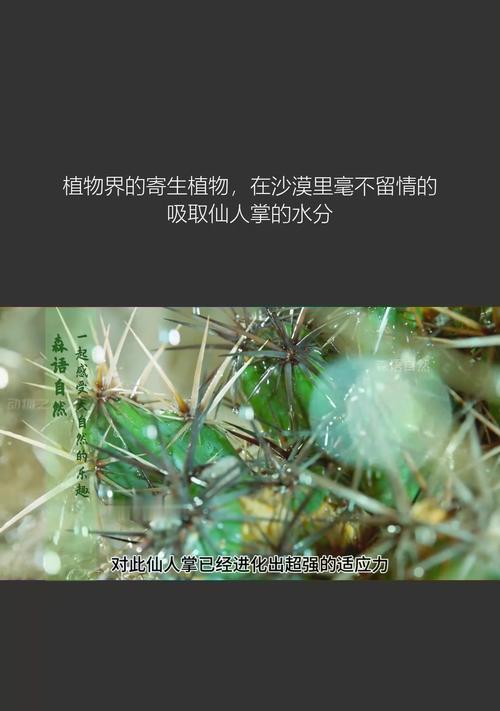 植物水分过多的处理方法？