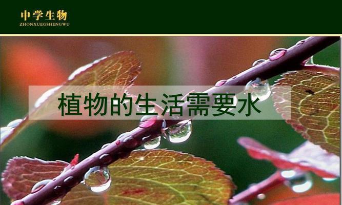 植物水分过多的处理方法？