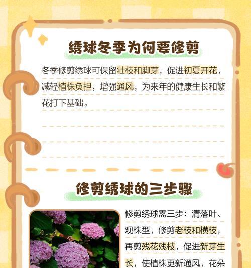 绣球剪枝之后怎么修剪？