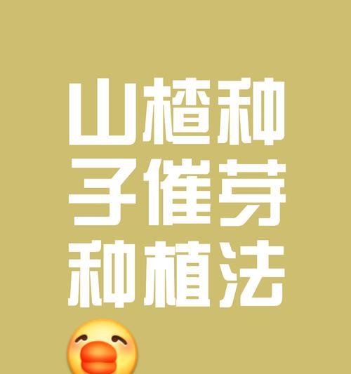 种子催芽太长了该怎么种