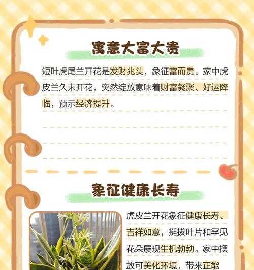 短叶虎皮兰怎么种植方法