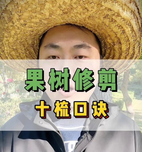 柑橘园艺技巧：正确修剪枝条的方法与要点