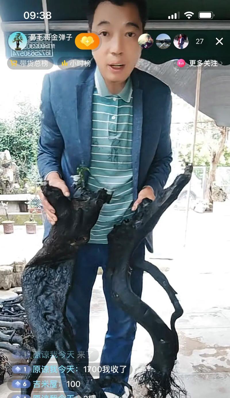 香树生桩怎么种植方法
