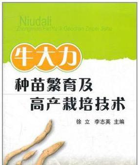 牛大力的种植方法：一文读懂如何种植这种珍贵药材