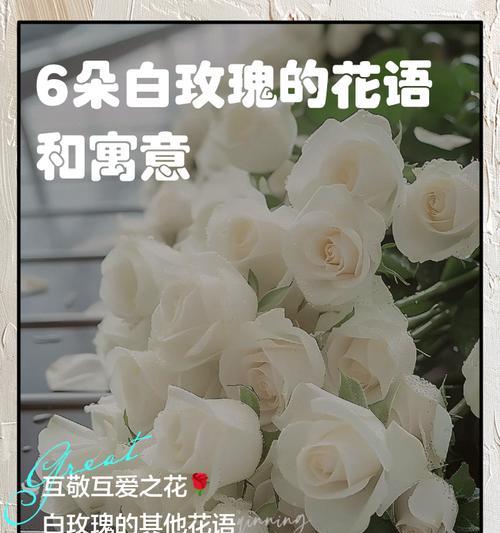 甘蔗催芽分叉剂使用指南
