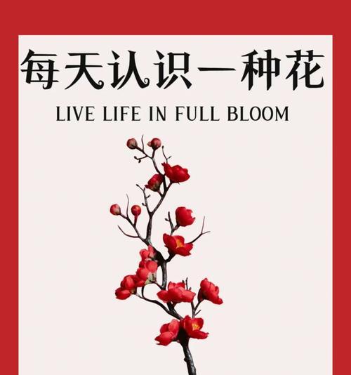 发财树的管理技巧和常见问题解答