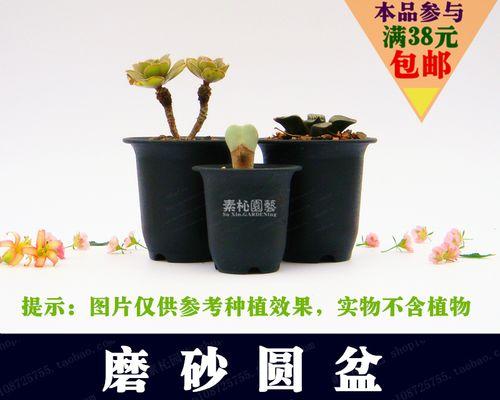 万象玉露的种植方法详解