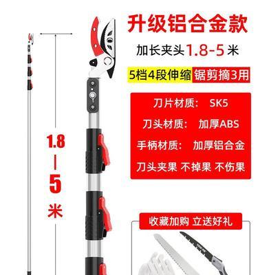 修剪枝条枇杷果怎么修剪