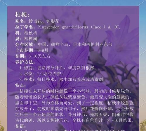 桔梗怎么修剪枝叶好看