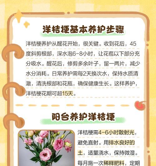 桔梗怎么修剪枝叶好看