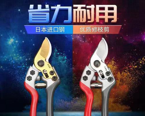 如何正确使用枝条长剪刀进行修剪