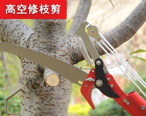 如何正确使用枝条长剪刀进行修剪