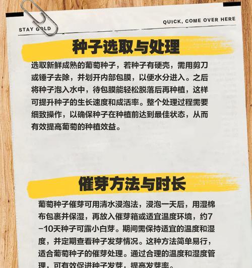 自家种子怎么种植方法