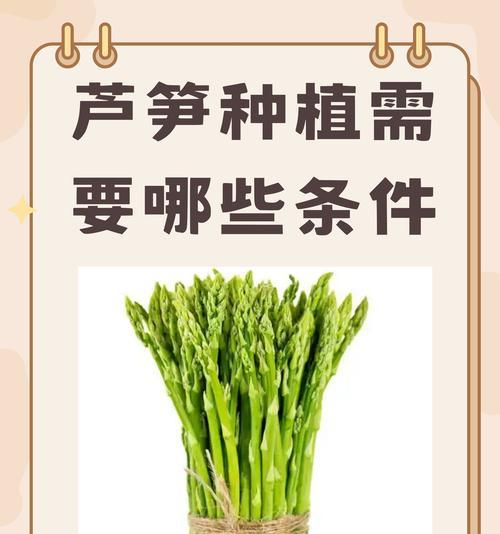 芦笋种植催芽技巧揭秘：快速发芽的科学方法