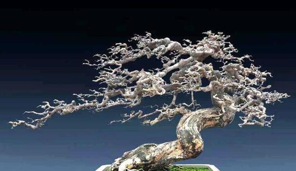 红牛修剪枝叶的技巧与美观秘诀