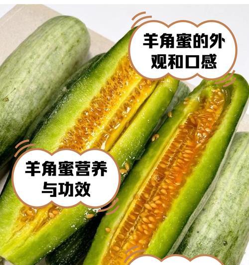 羊角蜜种子催芽全攻略，让你轻松培育出健康苗