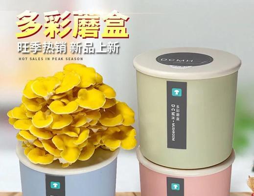 白参菇怎么种植方法