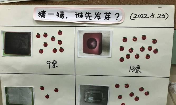 甜干种子怎么催芽的：全面指南