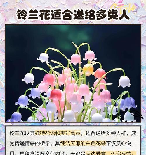 花胡怎么胡？掌握正确浇水技巧