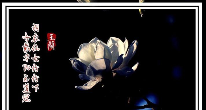 白羽修剪枝条的科学方法