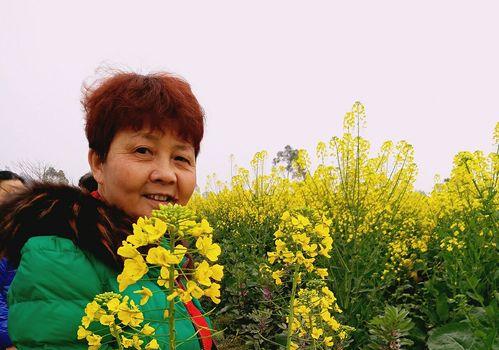 小竹尖种植全攻略：从选购到养护的详细步骤