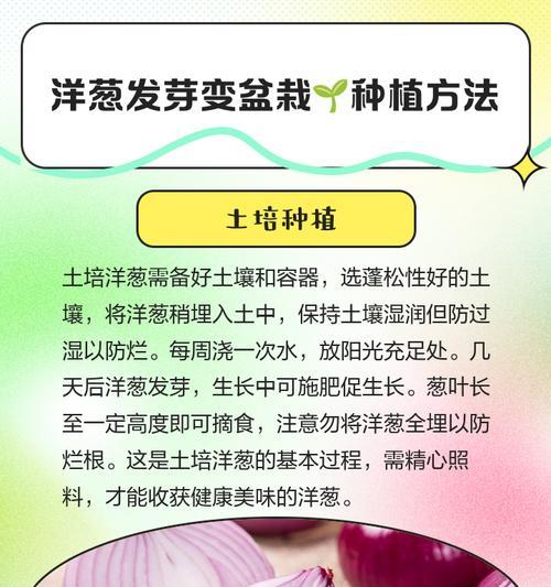 盆栽菜怎么种植：简易步骤与技巧