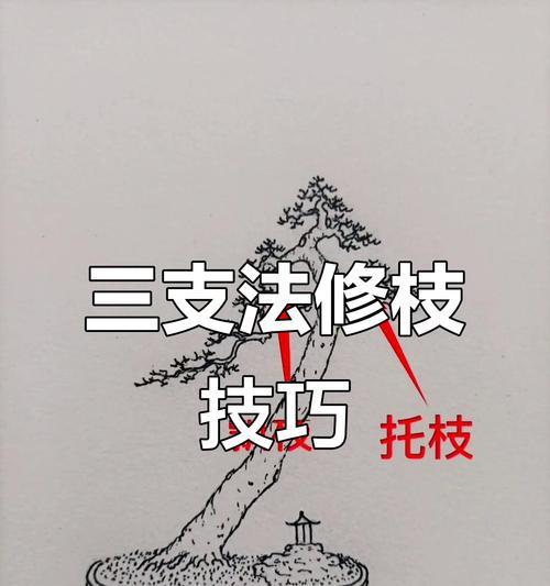 霸王怎么修剪枝条-专业修剪指南