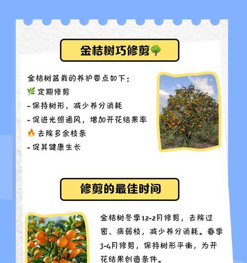 金桔结果后修剪枝吗怎么修剪