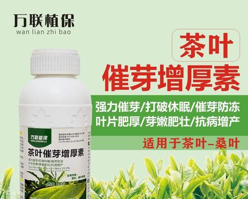 铁莲怎么催芽最好