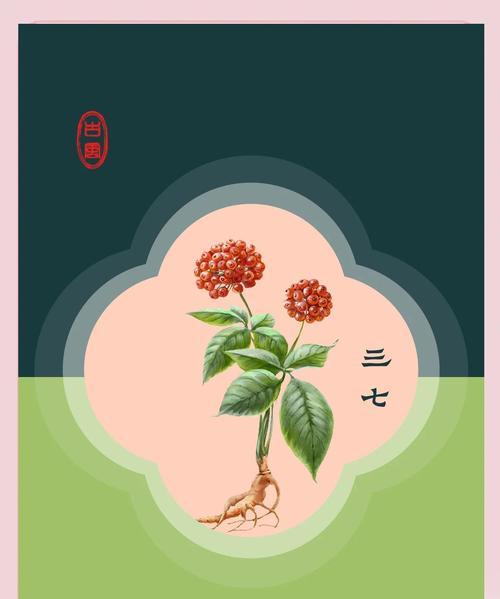 三七种子怎么种植？全面种植方法介绍