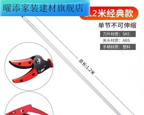 修剪枝条龙眼怎么修剪