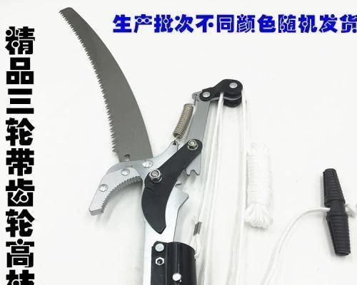 修剪枝条龙眼怎么修剪